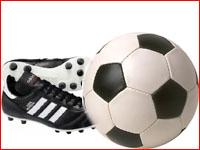 Regal Sports Co  Sales in Sports & Fitness
